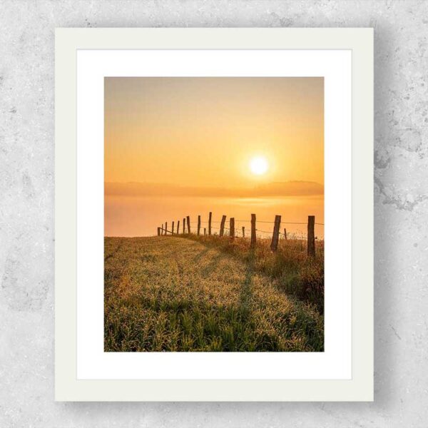 10 X 12 Custom Framed Print - Image 2