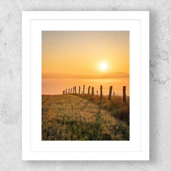 10 X 12 Custom Framed Print - Image 4